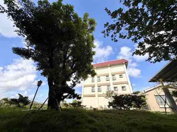 昊道書院：建築與樹